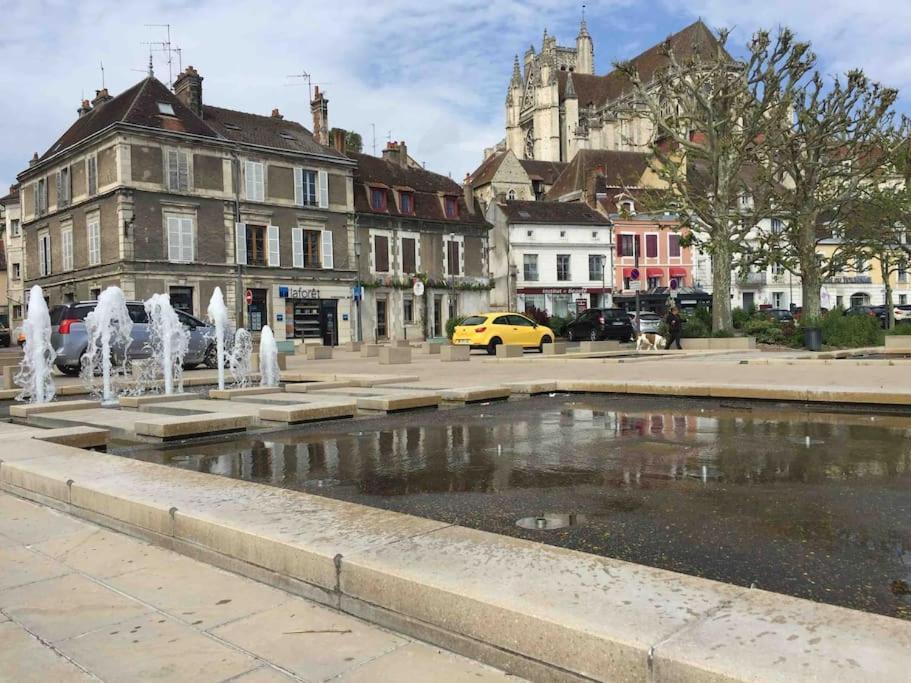 Bel Appart Au Centre-Ville Proche Gare Avec Wifi. Auxerre Bagian luar foto